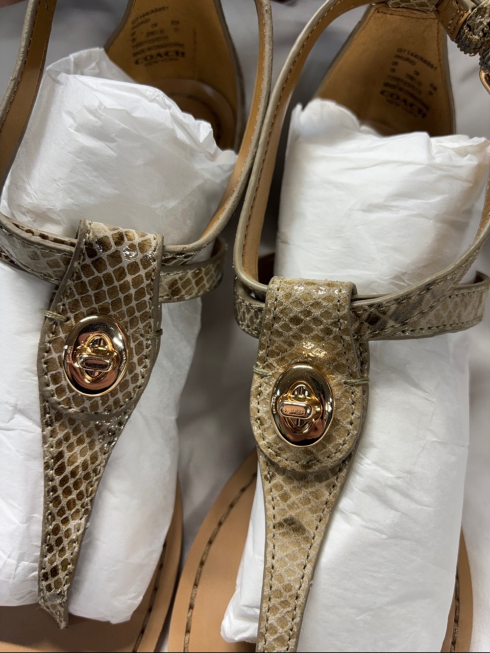 Coach Turnlock Leather Sandals Ingrid Nat embossed T strap Snake Print Gladiator - Picture 3 of 14